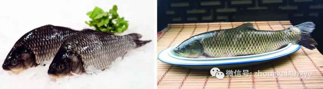 微信圖片_20180615172830.jpg 微信圖片_20180615172830.jpg