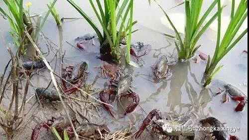 微信圖片_20180622171528.jpg 微信圖片_20180622171528.jpg